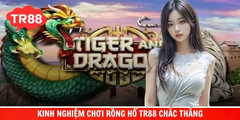 Kinh nghiệm chơi Rồng Hổ bất bại tại TR88